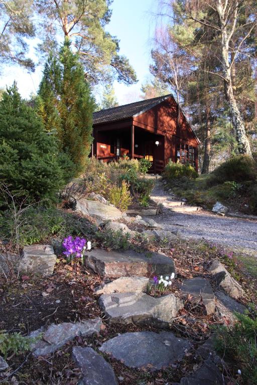 a log cabin with flowers in front of it at Tullochwood Lodges in Forres
