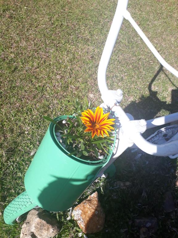 Sitio Recanto Catuci  Sitio Recanto Catuci