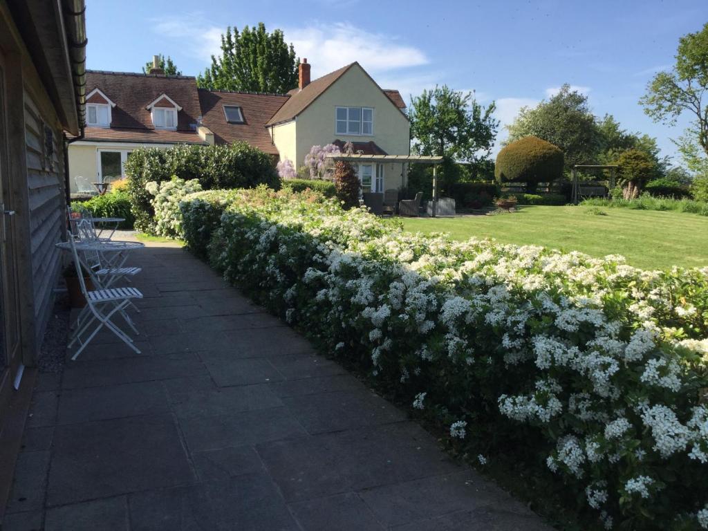 a hedge of white flowers next to a house at The Lodge, at Orchard Cottage in Much Marcle