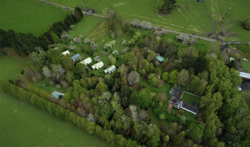 an overhead view of a forest with houses and trees at Mavidahue in llifen