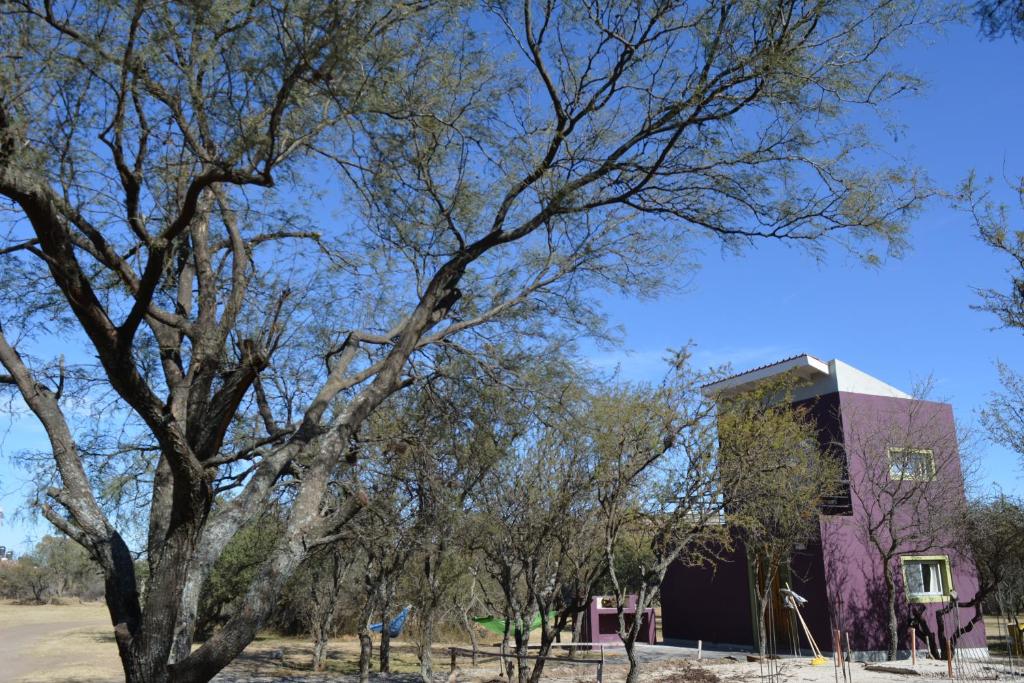 a building with a tree in the foreground at Cabaña Anita in Merlo