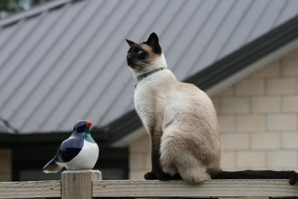 Grosvenor House B&B - Resim 14