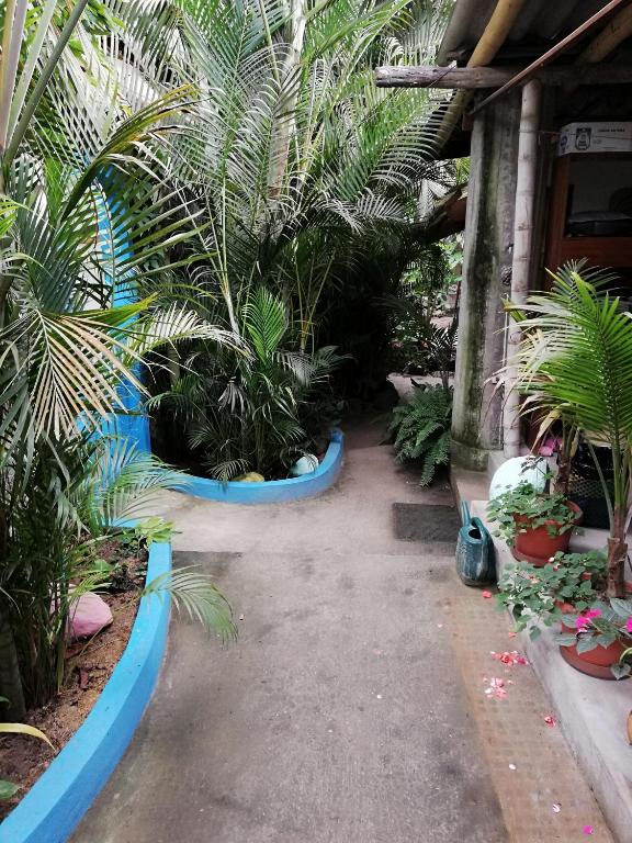 Zahrada ubytování Hostal Oloncito