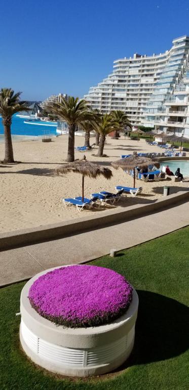 a flower bed in front of a beach with a large building at San Alfonso del Mar Goleta in Algarrobo