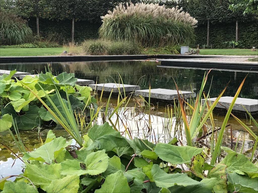 a pond with stepping stones in a garden at Vijverhoef in Ulicoten