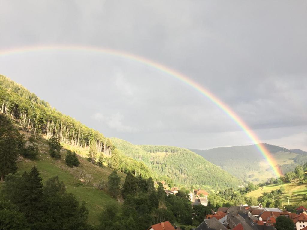 Příroda nedaleko apartmánu
