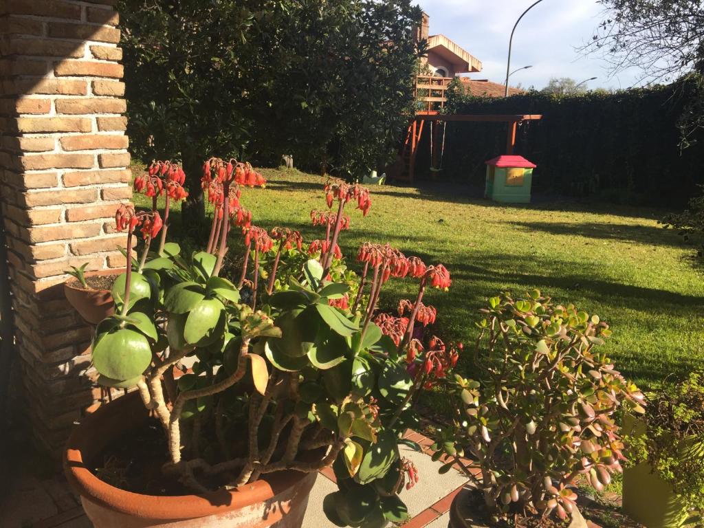 Un jardín fuera de Ottomood B&B and Apartments