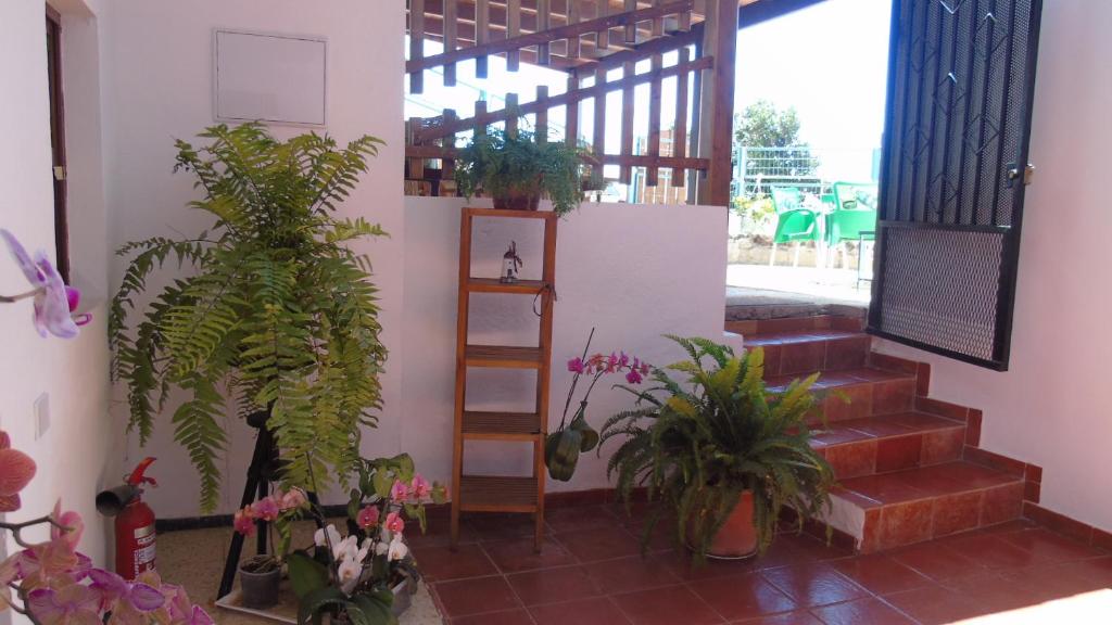 eine Treppe mit Topfpflanzen in einem Zimmer in der Unterkunft La Casita de Estrella in Candelaria