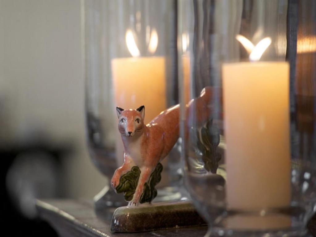 Fox and Grapes - Resim 11