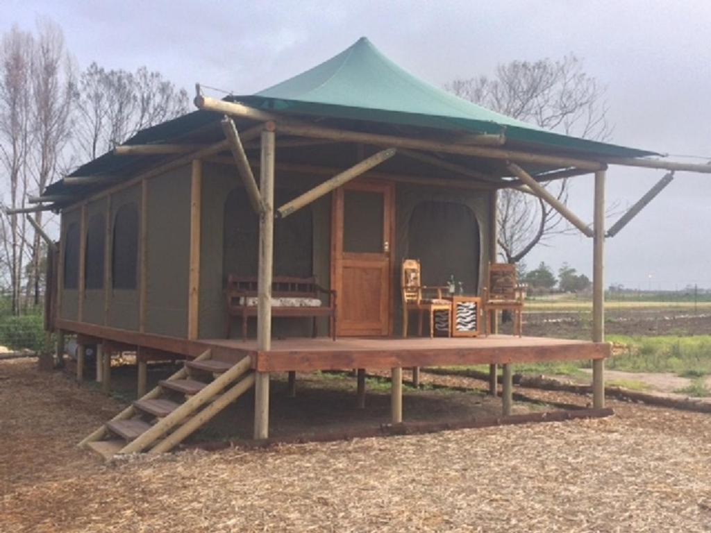 プレッテンバーグ・ベイにあるHillcrest Lodge Tents - Sandstoneの緑の屋根とテーブルが備わる小屋