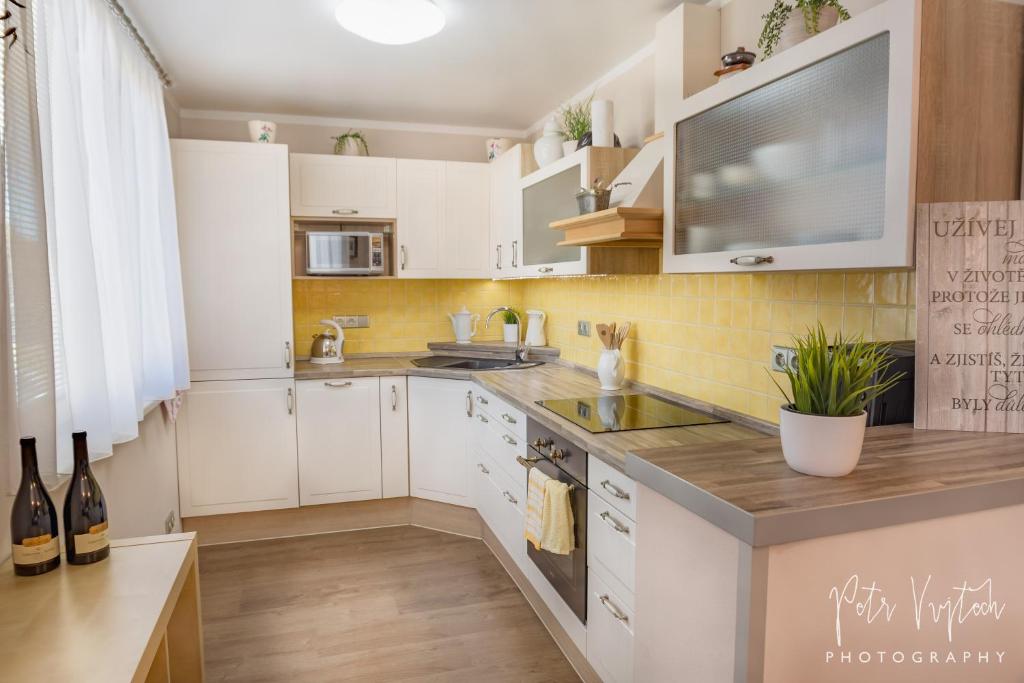 Kuchyň nebo kuchyňský kout v ubytování Apartmán na Lipně