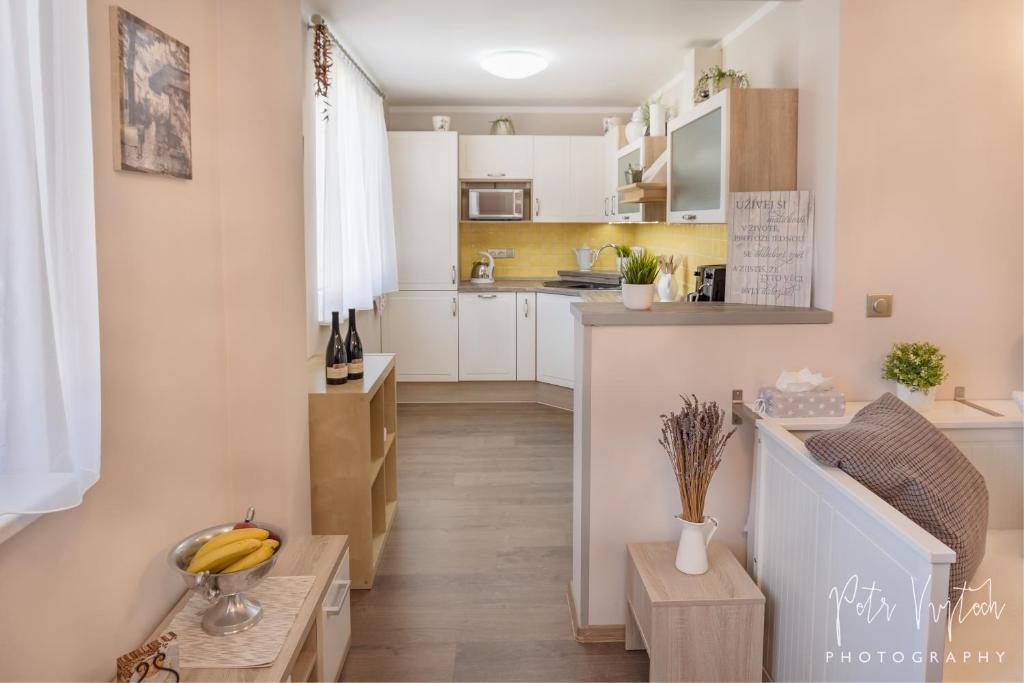 Kuchyň nebo kuchyňský kout v ubytování Apartmán na Lipně