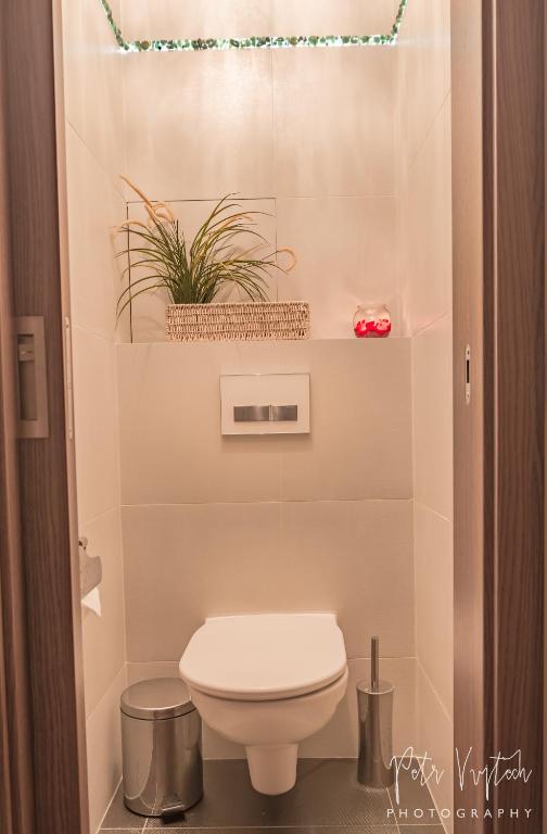 Koupelna v ubytování Apartmán na Lipně