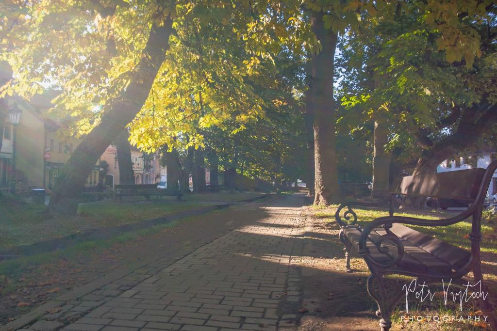 Zahrada ubytování Apartmán na Lipně
