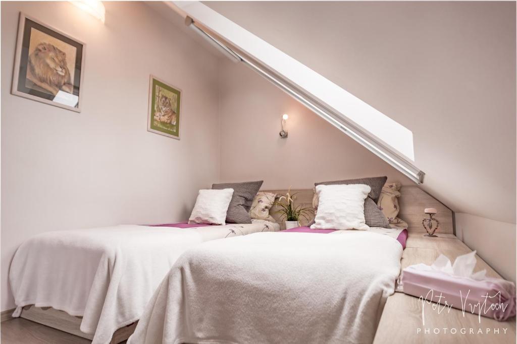 Postel nebo postele na pokoji v ubytování Apartmán na Lipně