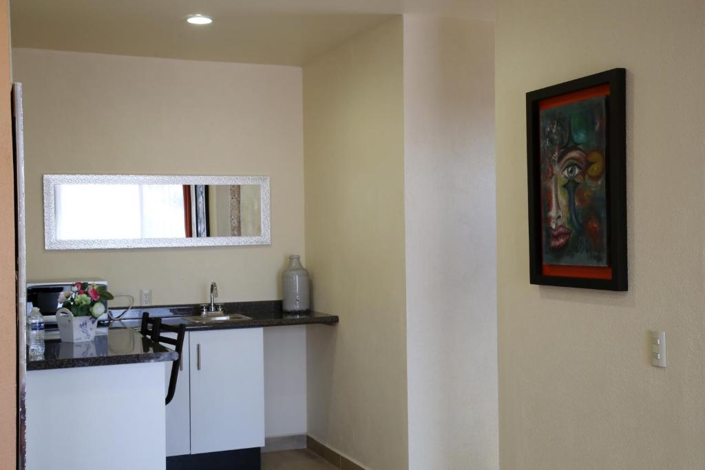 Kuchyň nebo kuchyňský kout v ubytování Hotel Plaza Bernal