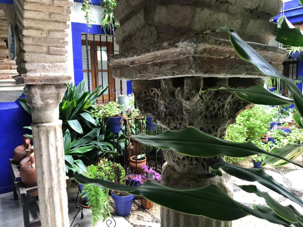 A garden outside Alojamiento casa típica de Córdoba