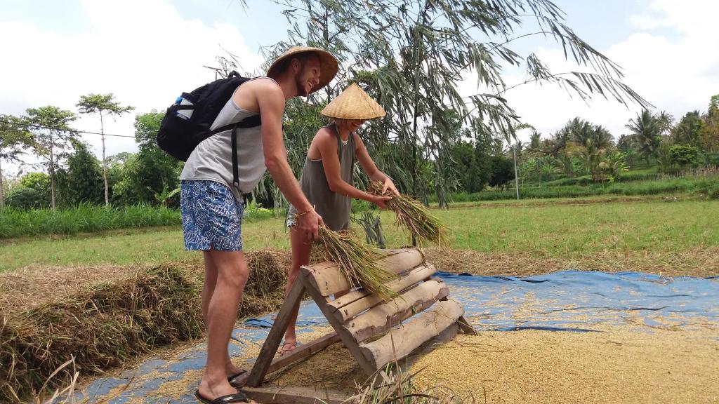 Ariel Bungalow Tetebatu - 17