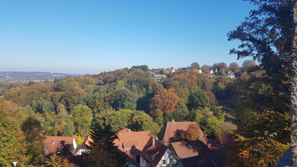 Příroda nedaleko apartmánu