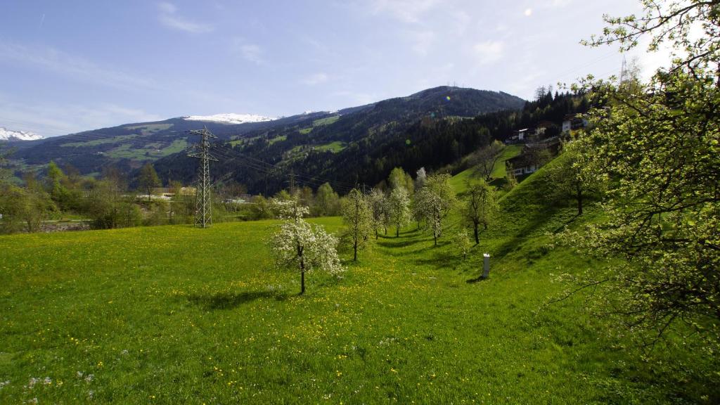 Táj az apartman közelében