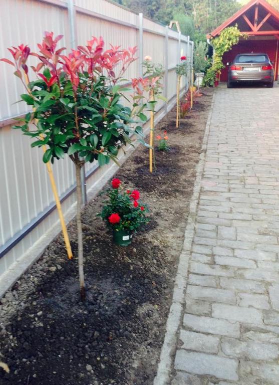 Vonkajšia záhrada v ubytovaní MG Apartman