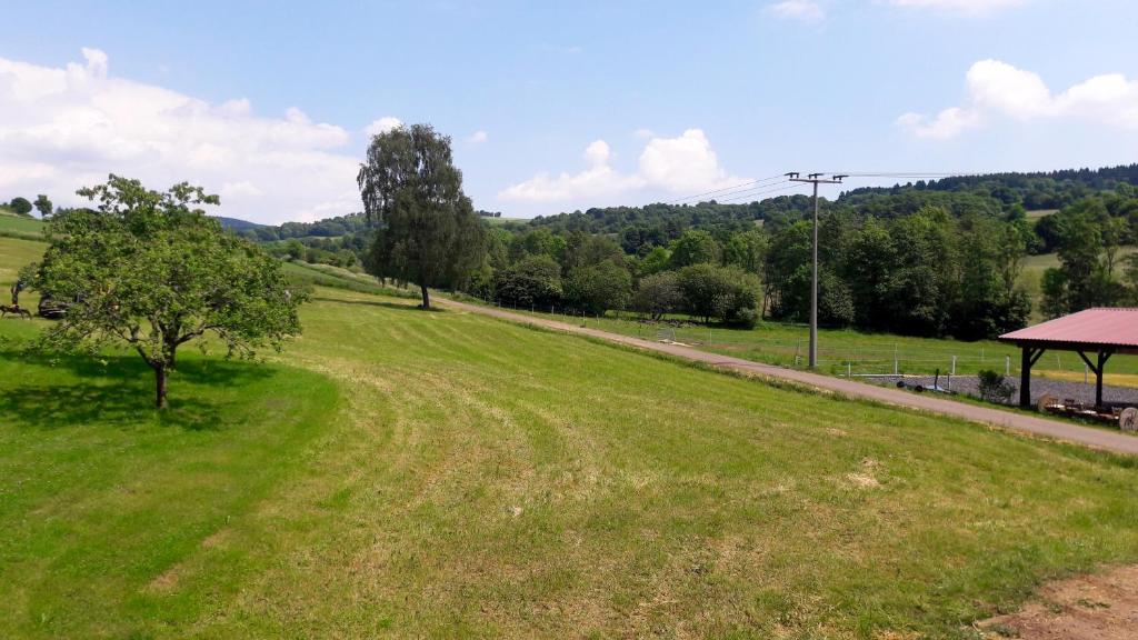 a field with a tree and a gazebo at Ferienwohung mit Blick auf die Pferdekoppel in Schotten
