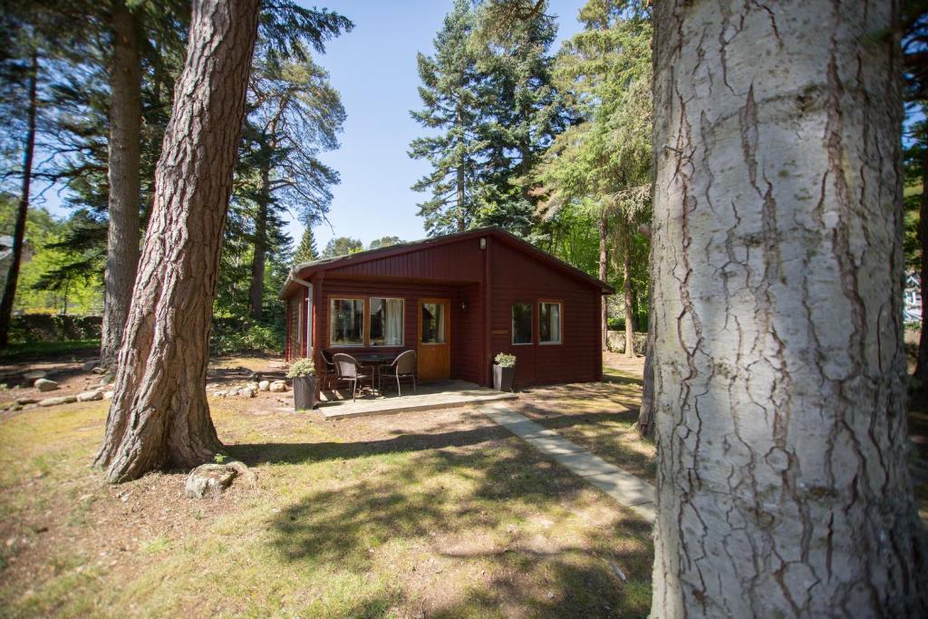 una pequeña cabaña en el bosque con árboles en Invercauld Lodges, en Ballater