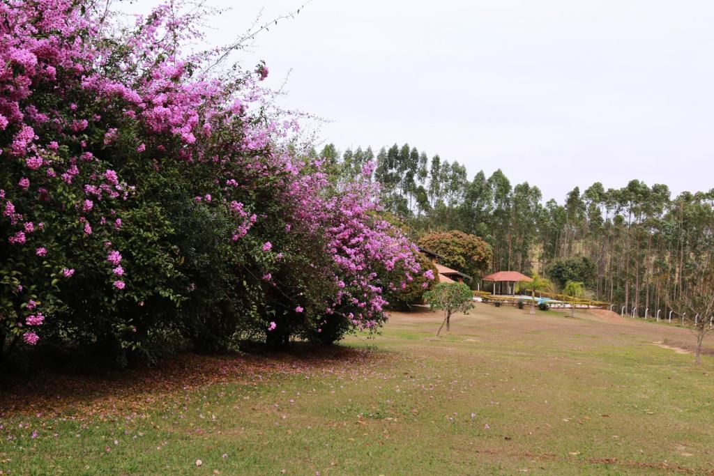  Sítio São Nicolau