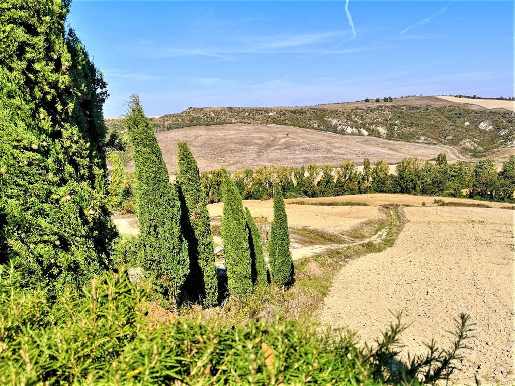 Príroda v okolí farmy