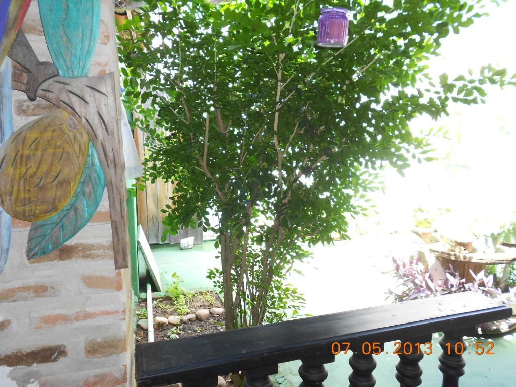  Pousada Joãozinho Caminhador