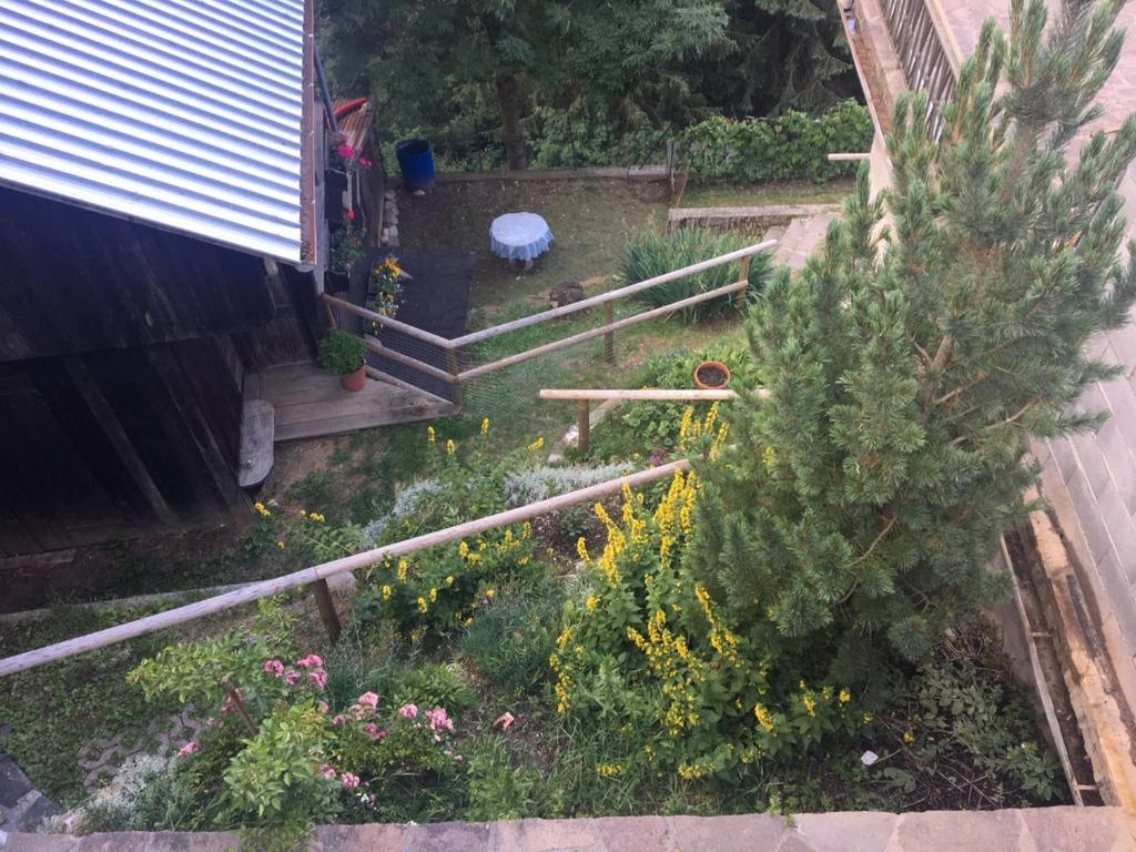 Zahrada ubytování Appartamento Rustico