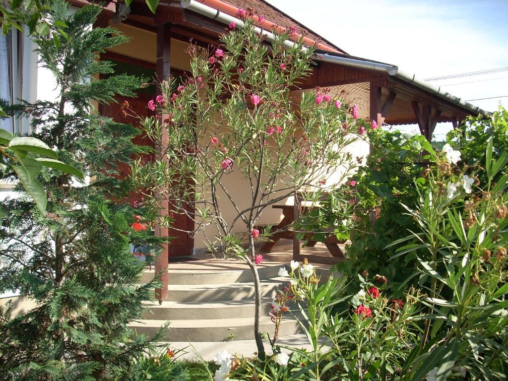 Abádi Karmazsin Ház في أبادزالوك: منزل به مجموعة من النباتات والورود