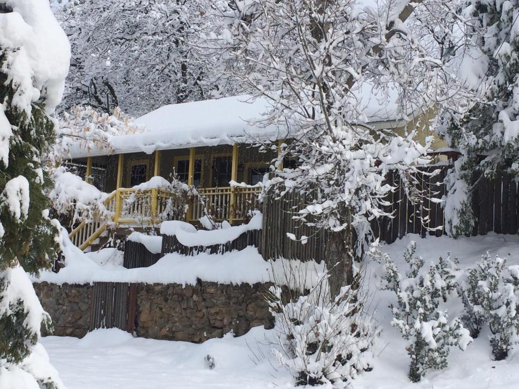 Fivespot Cabin v zimě