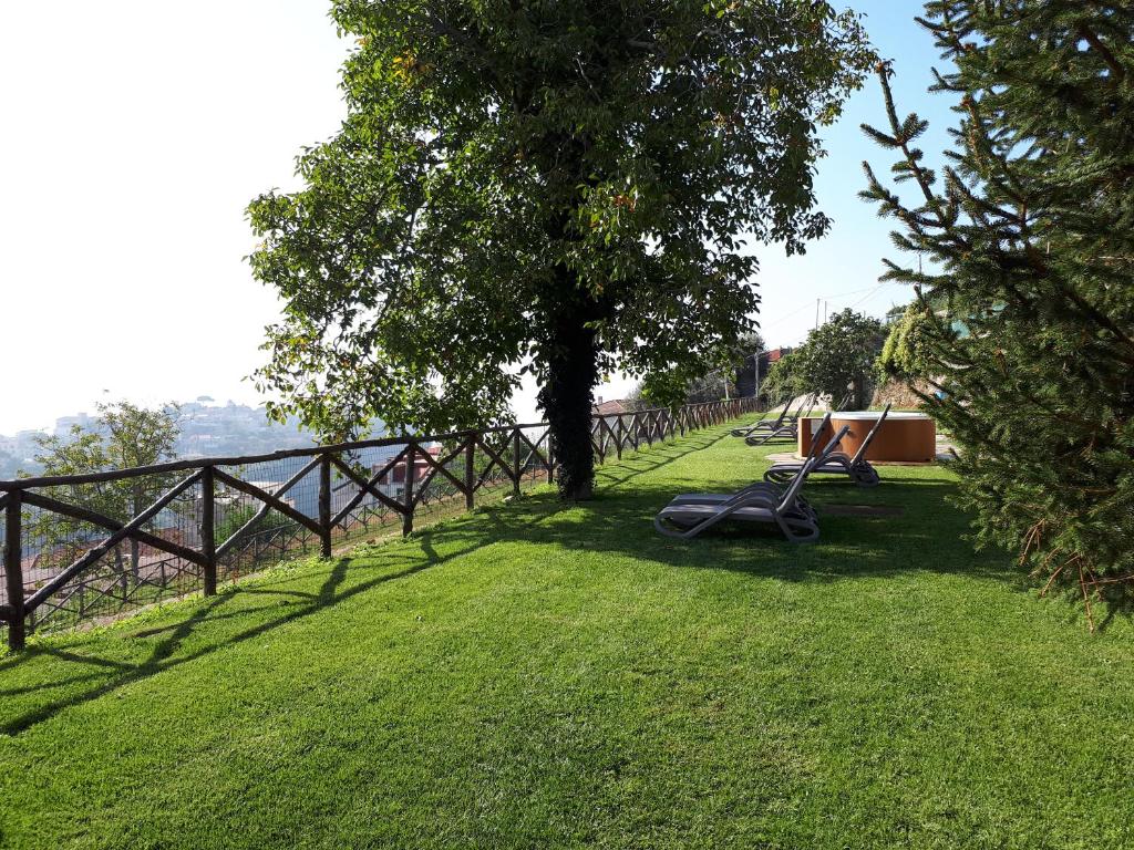 Příroda nedaleko bed and breakfast
