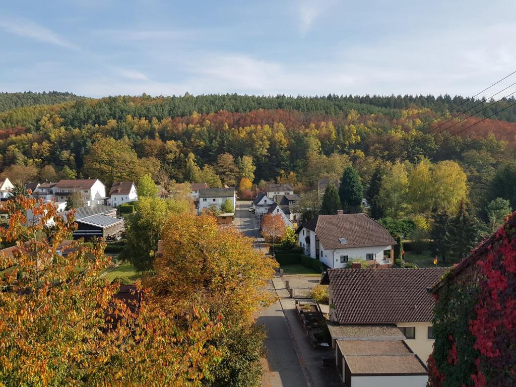 Landgasthaus Klosterhof في Fischbach: اطلالة جوية على مدينة صغيرة في الخريف