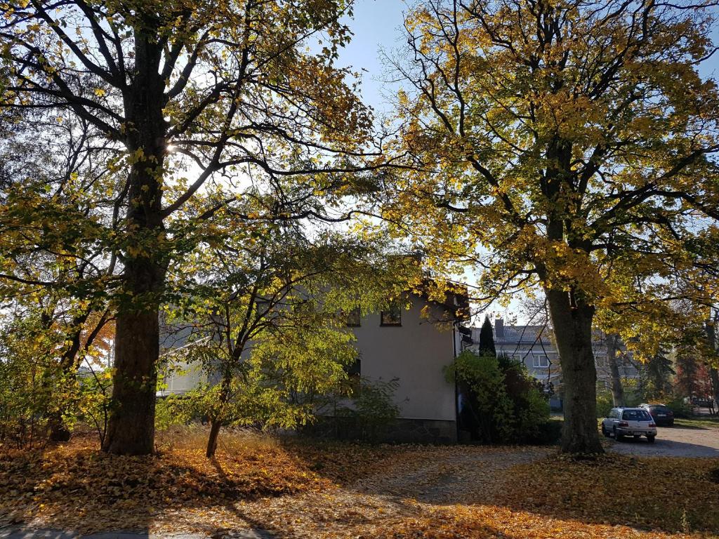 una casa con dos árboles delante de ella en Apartament nr 3 w Starym Nadleśnictwie, en Kościerzyna