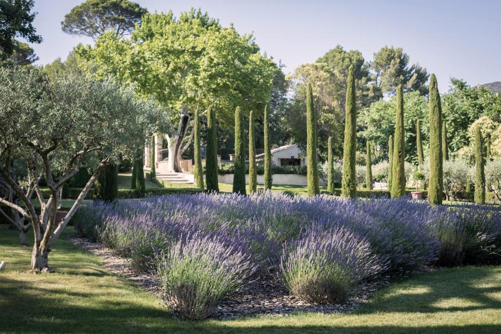 Zahrada ubytování Domaine de Fontenille