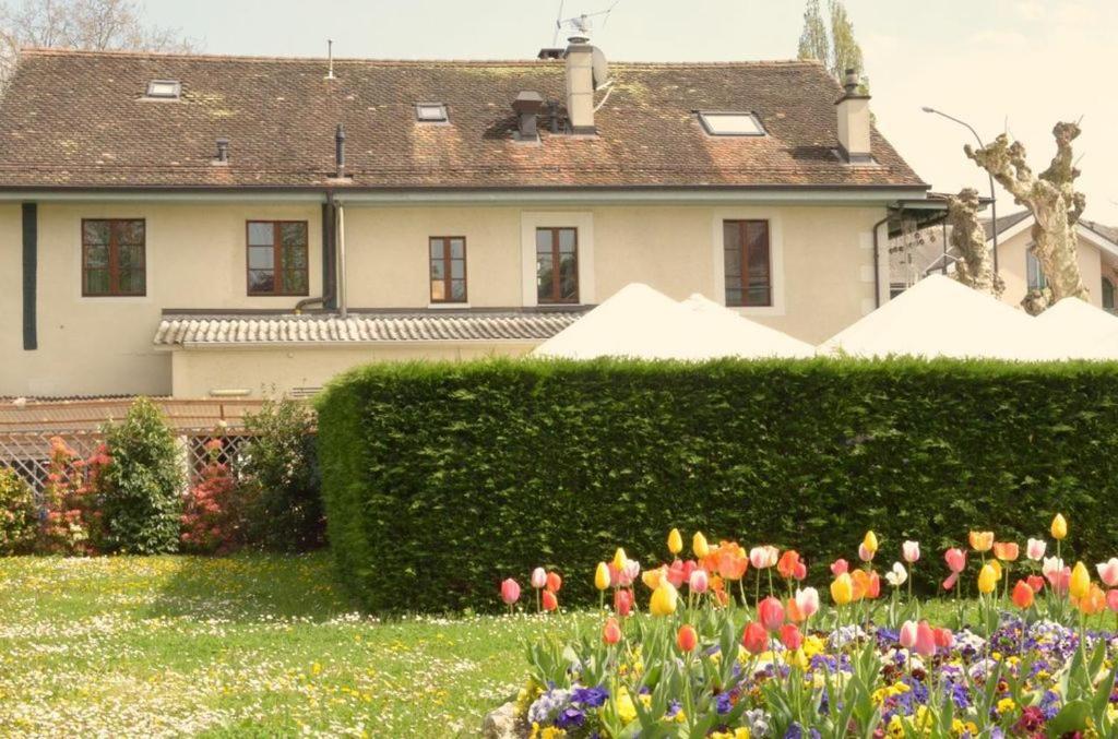 فندق ومطعم Kutchi في بلفيو: منزل به تحوط وورود أمامه