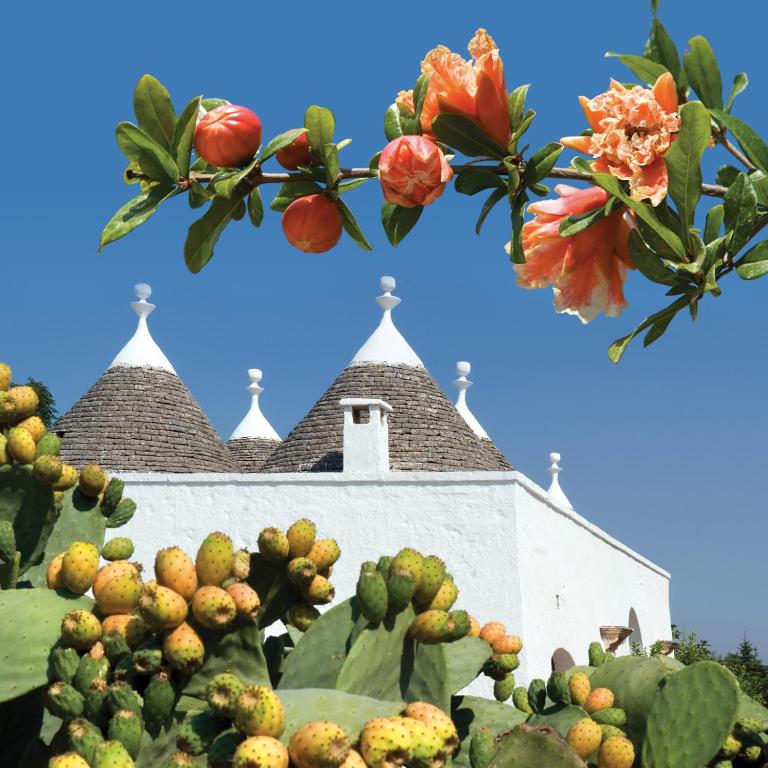 an image of a church with flowers and plants at Hotel Don Ferrante in Monopoli