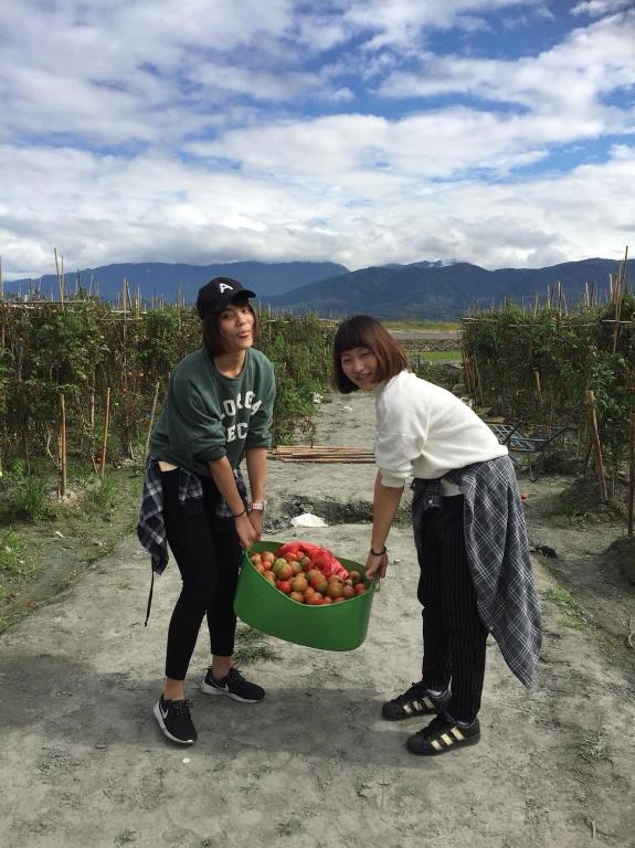 a man and a woman holding a basket of apples at Winnie Homestay in Longtian