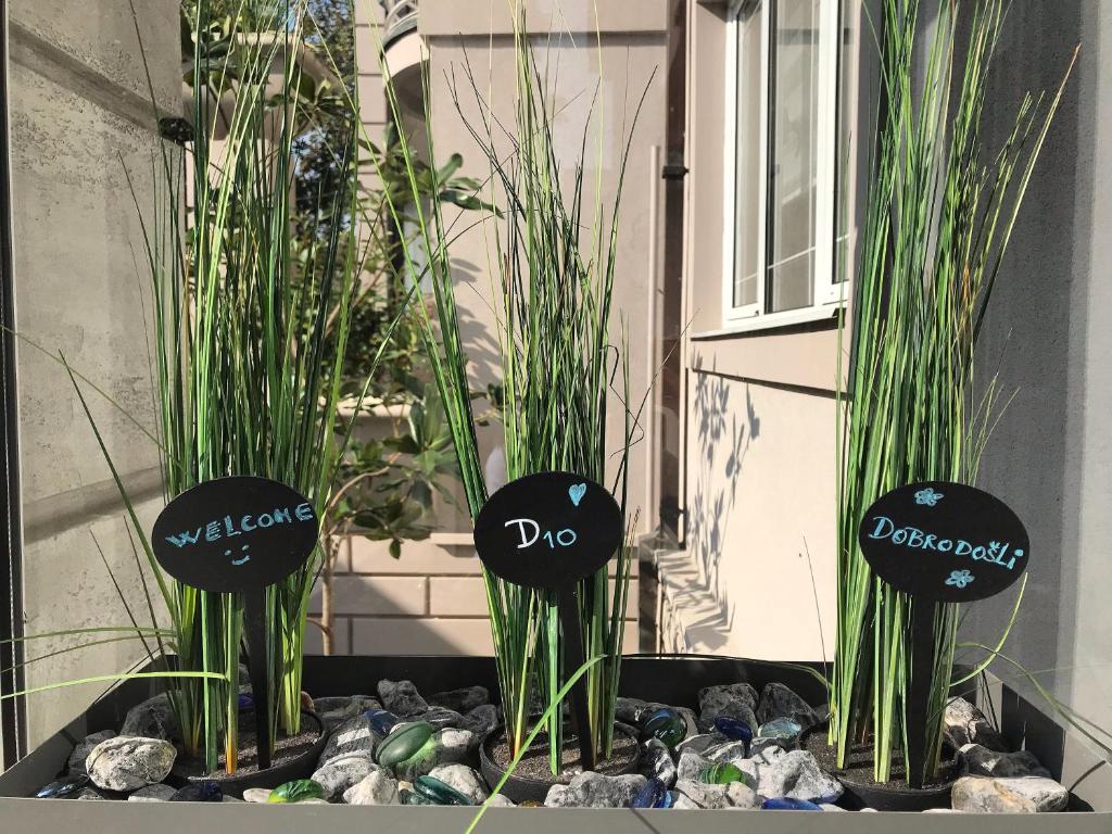 Garni Hotel D10 - Resim 14