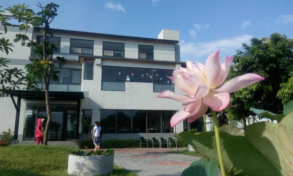 a pink flower in front of a building at The third great-uncle's house in Baihe