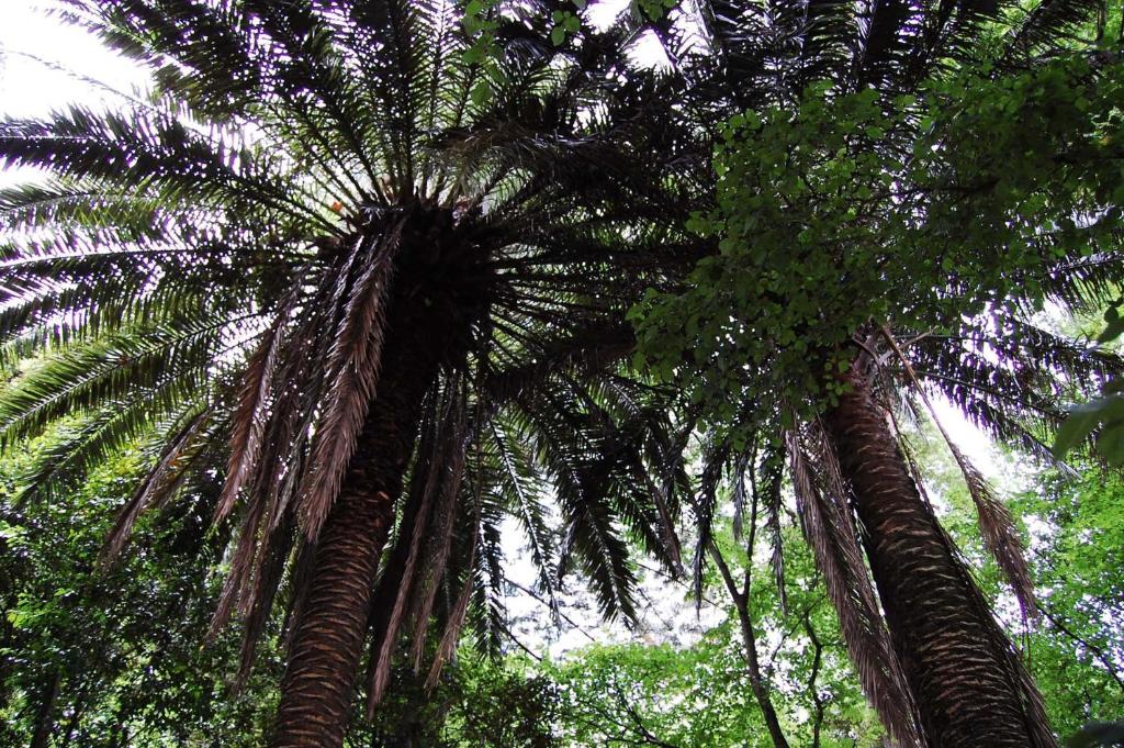 Paisagem natural perto of the country house