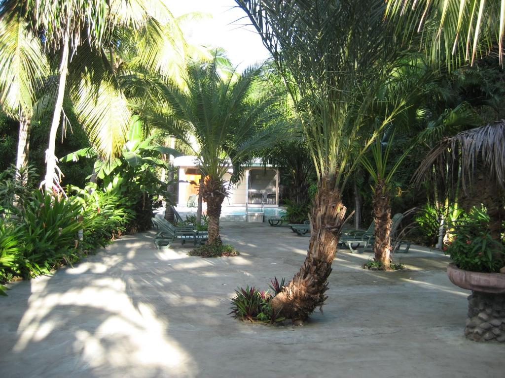 Zahrada ubytování Sunset Bay Club & SeaSide Dive Resort