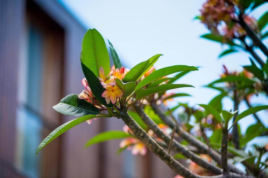 ARTS IN Hotel Conde Carvalhal - Resim 25