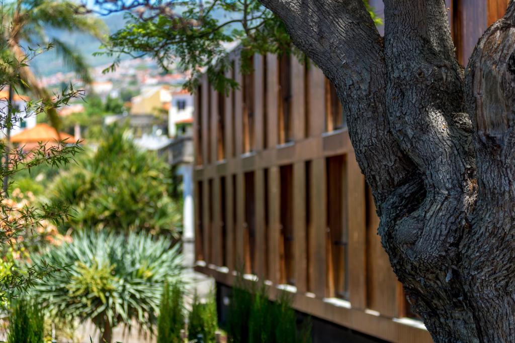 a fence next to a tree next to a building at ARTS IN Hotel Conde Carvalhal in Funchal