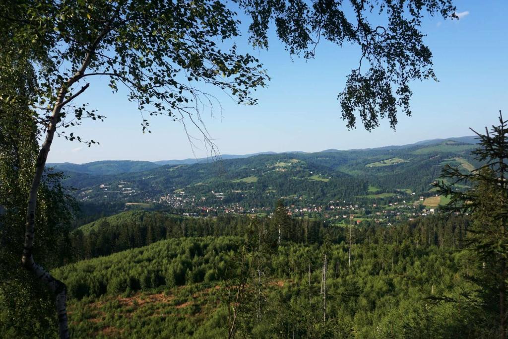 Paesaggio naturale nelle vicinanze della stanza in casa privata