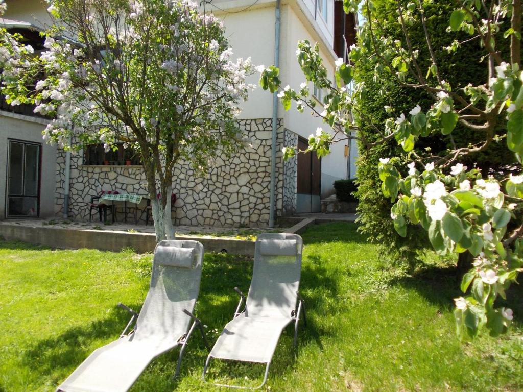 Zahrada ubytování Apartments Pavlić