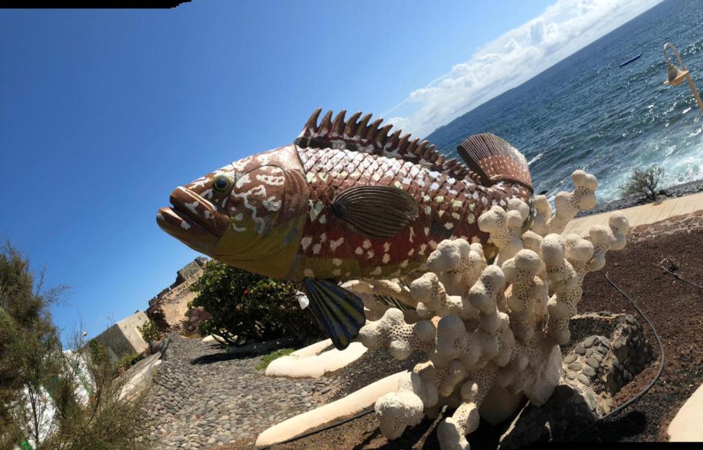 Naturlandskabet i nærheden af lejligheden