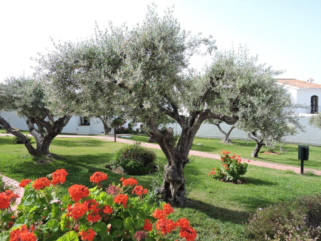 a tree in the middle of a yard with flowers at Nerja Villas-Capistrano in Nerja